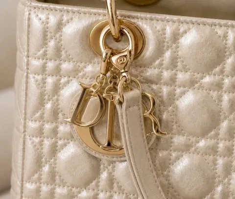Bolsa Lady Dior